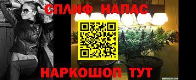стаф Абакан