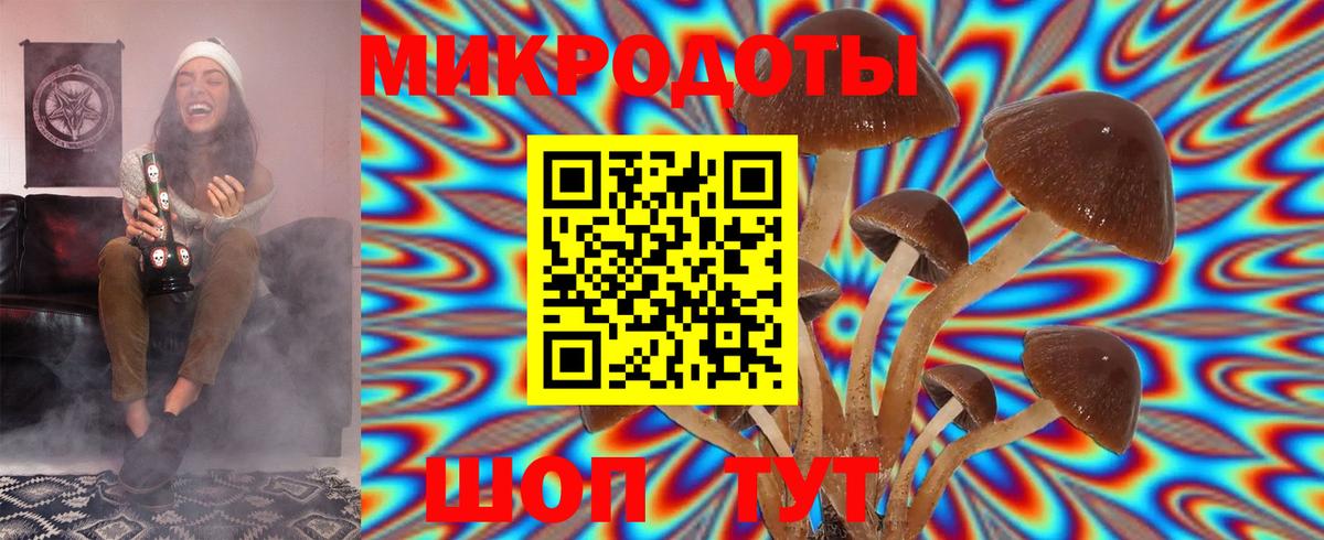 Анапа  Галлюциногенные грибы мухоморы  Вход с VPN  Псилоцибиновые грибы прущие грибы 